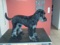 /album/fenykepgaleria/a2013-09-09-10-08-37-jpg1/